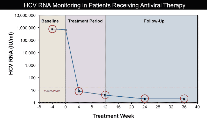 Мониторинг во время и после лечения ВГС